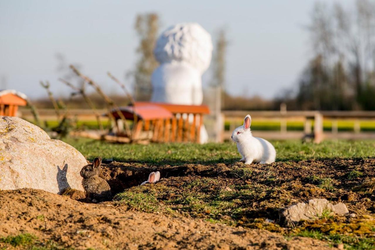 Отель Baltas Gandras Naisiai Экстерьер фото
